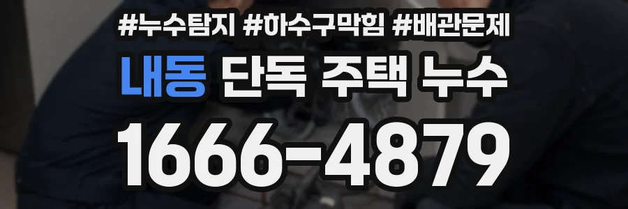 내동 단독 주택 누수