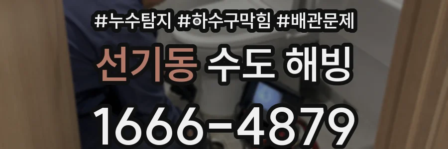 선기동 수도 해빙