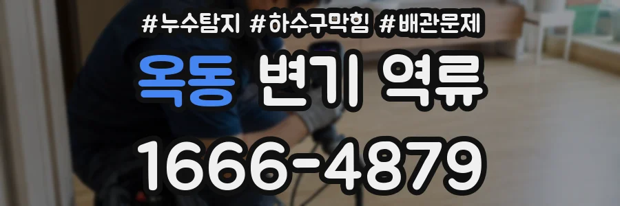 옥동 변기 역류