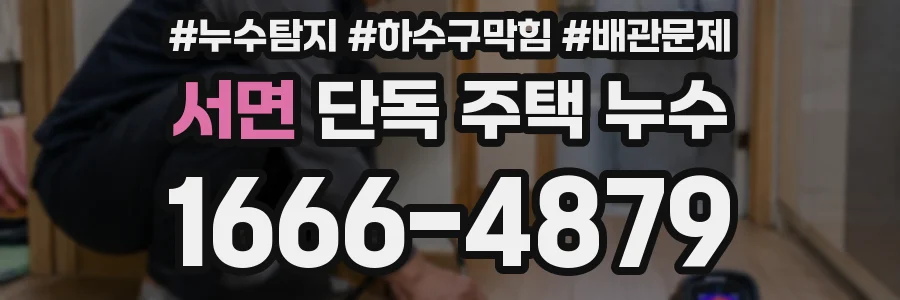 서면 단독 주택 누수