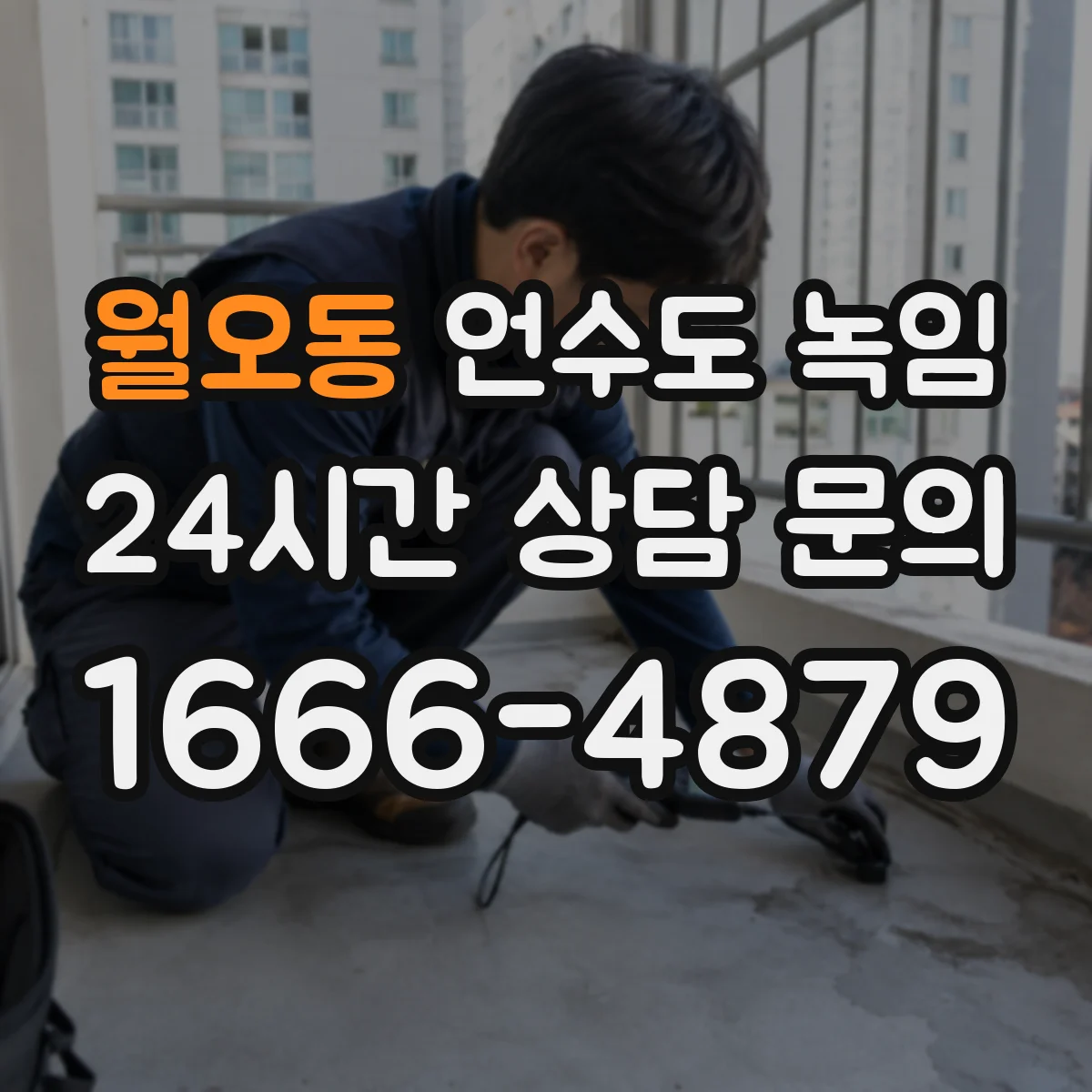 월오동 언수도 녹임