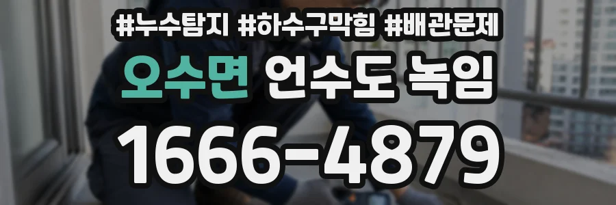오수면 언수도 녹임