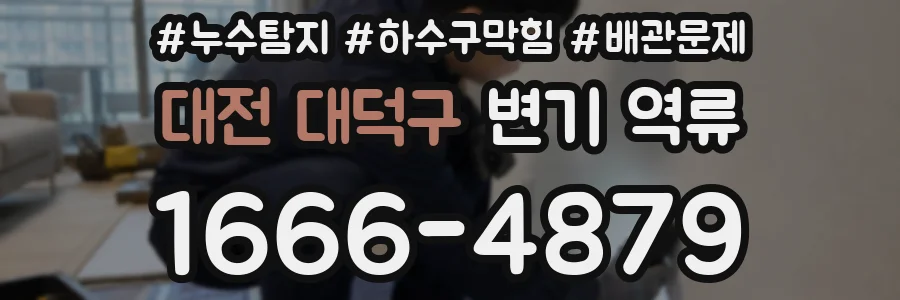대전 대덕구 변기 역류