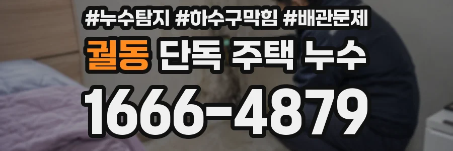 궐동 단독 주택 누수