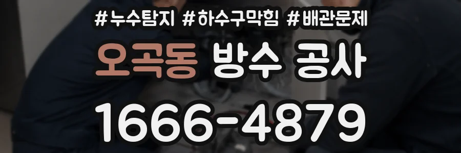 오곡동 방수 공사