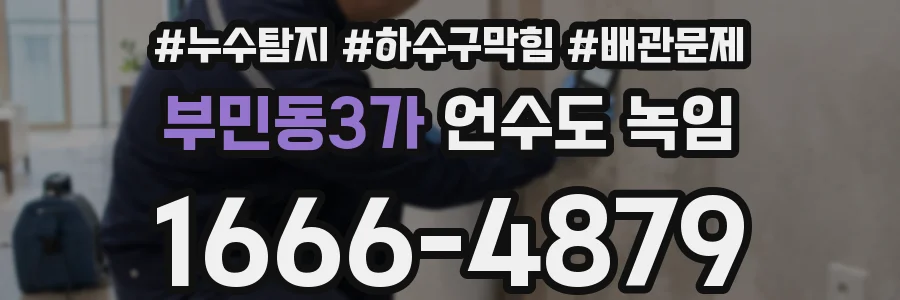 부민동3가 언수도 녹임