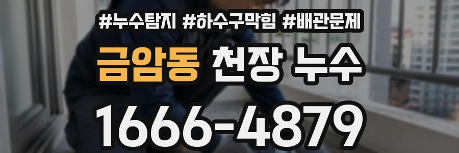 금암동 천장 누수