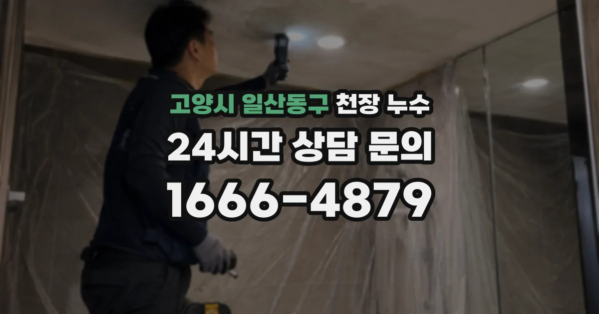 고양시 일산동구 천장 누수