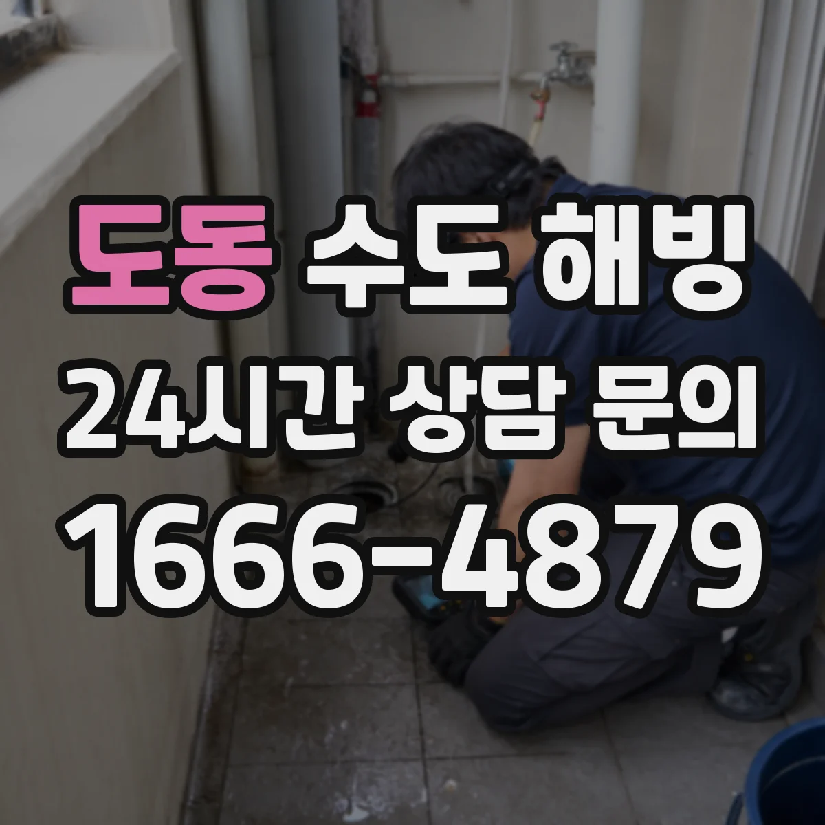 도동 수도 해빙
