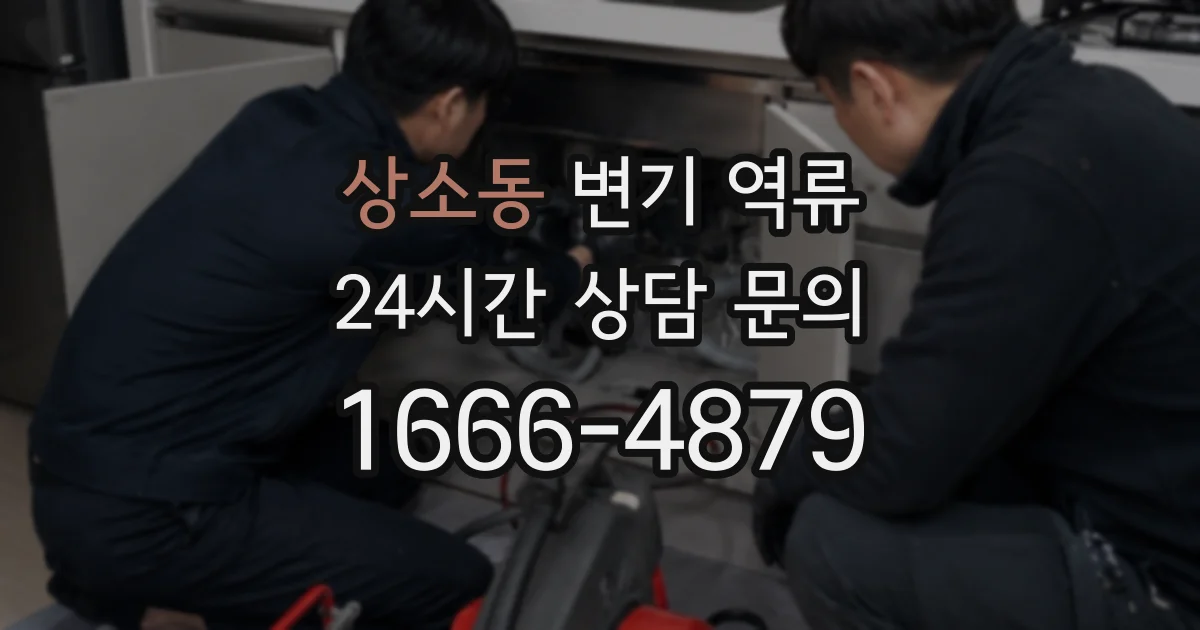 상소동 변기 역류
