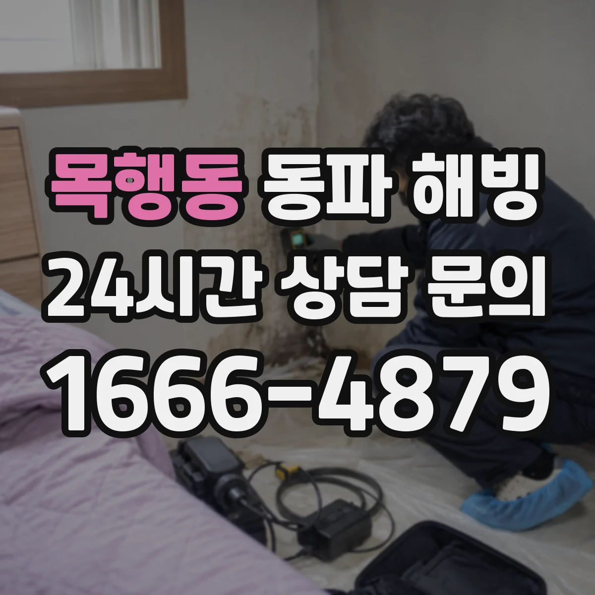 목행동 동파 해빙