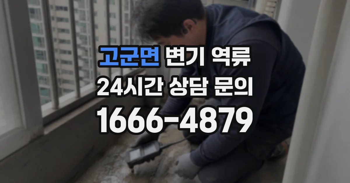 고군면 변기 역류