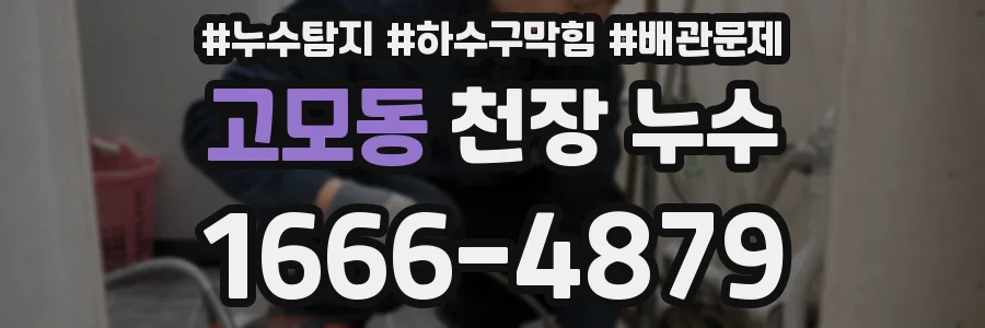 고모동 천장 누수