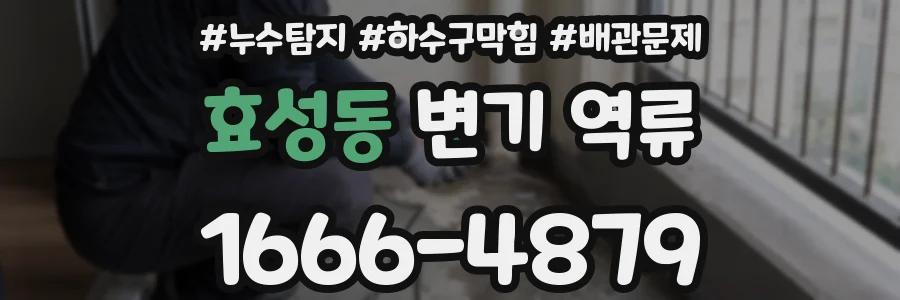 효성동 변기 역류