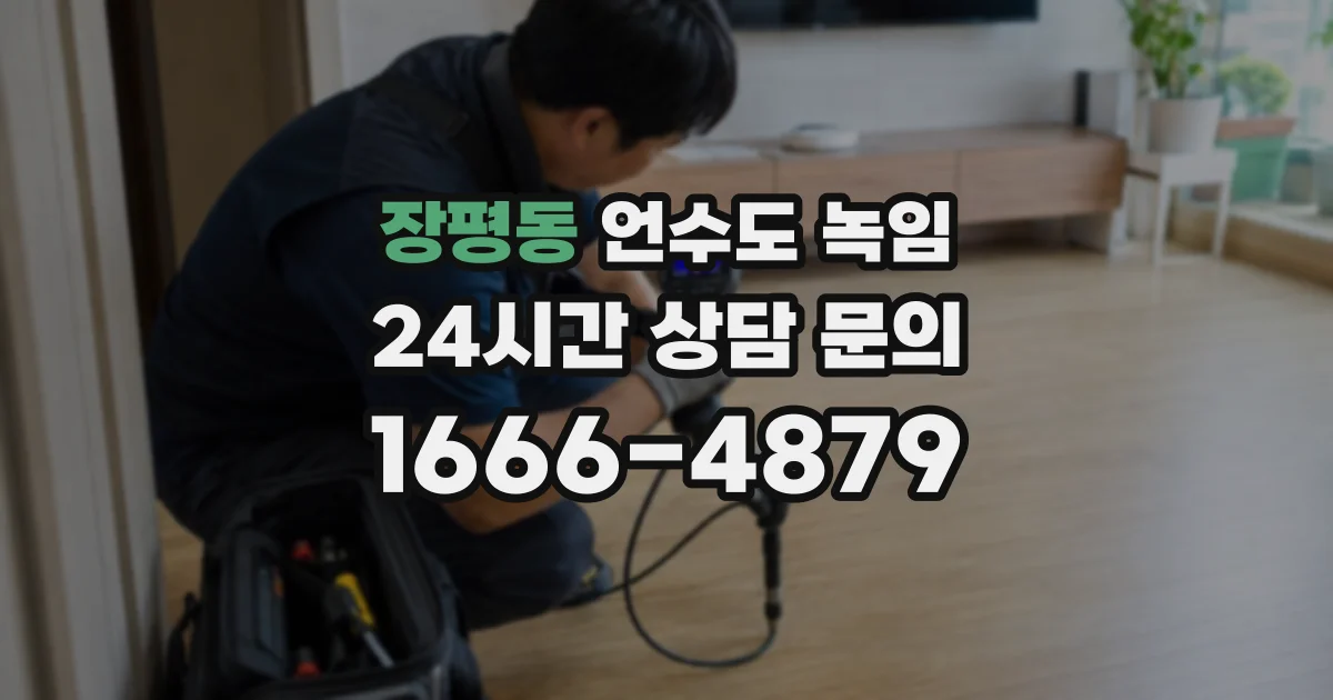 장평동 언수도 녹임