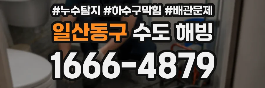 일산동구 수도 해빙