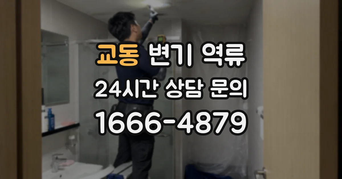 교동 변기 역류