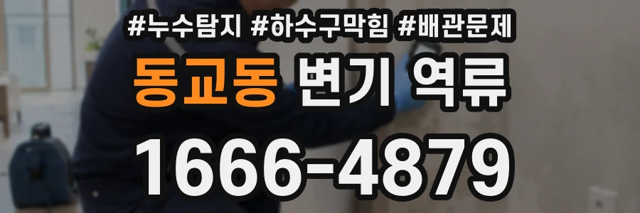 동교동 변기 역류