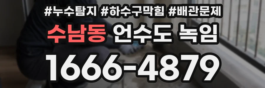 수남동 언수도 녹임