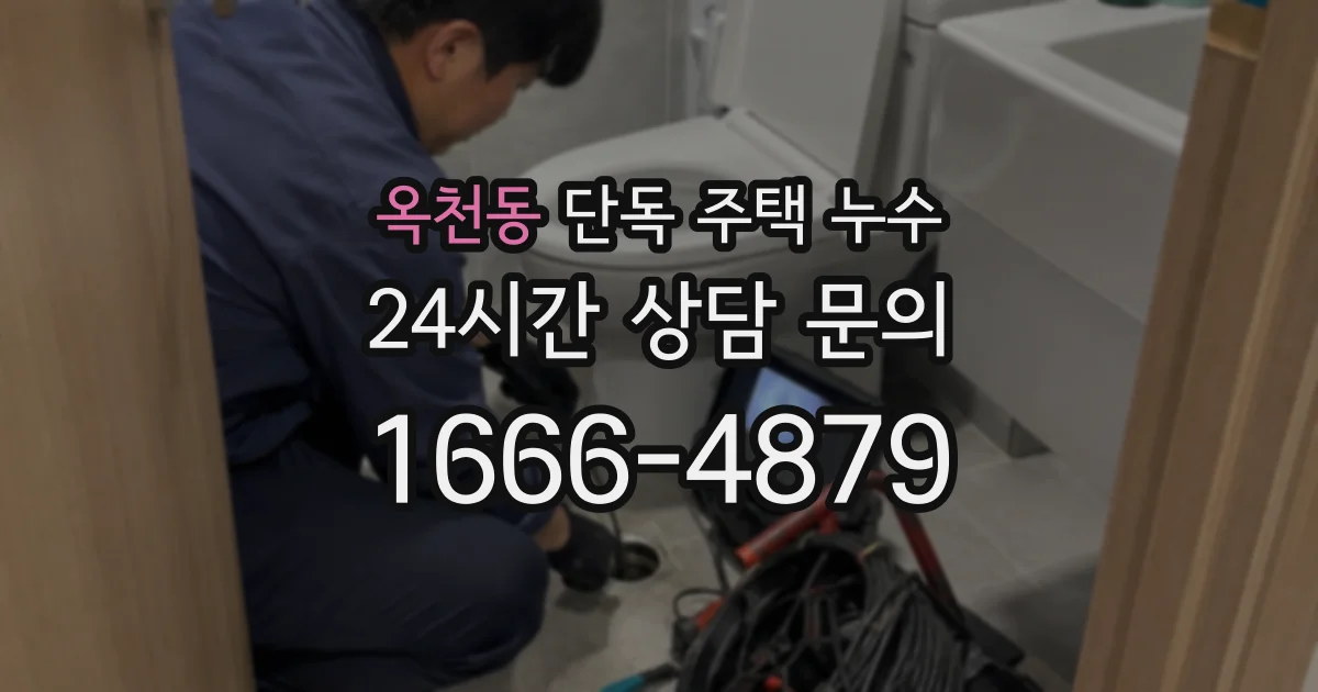 옥천동 단독 주택 누수