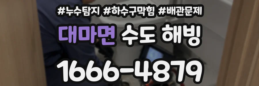 대마면 수도 해빙