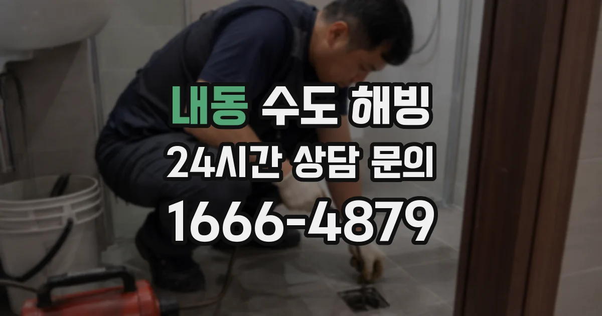 내동 수도 해빙