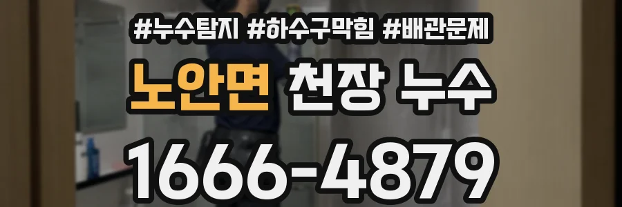 노안면 천장 누수