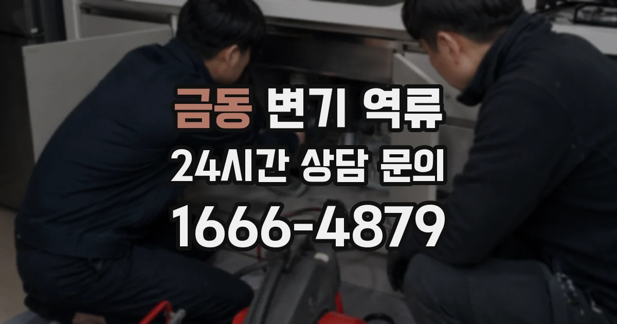 금동 변기 역류