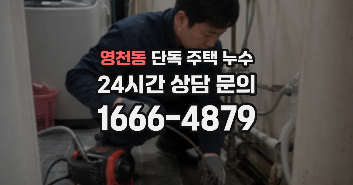 영천동 단독 주택 누수
