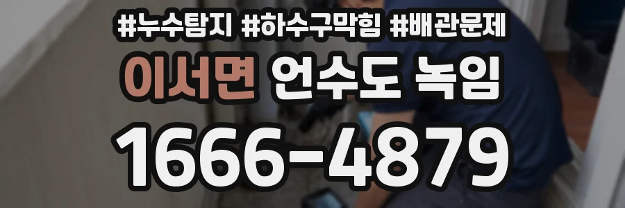 이서면 언수도 녹임