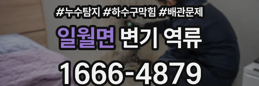일월면 변기 역류