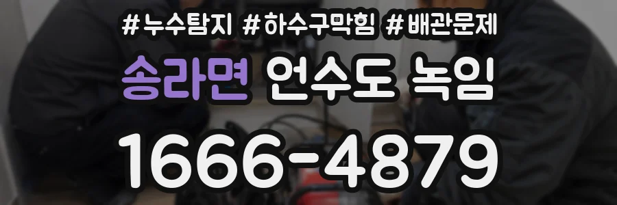 송라면 언수도 녹임