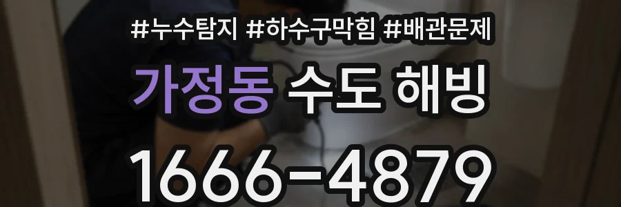 가정동 수도 해빙