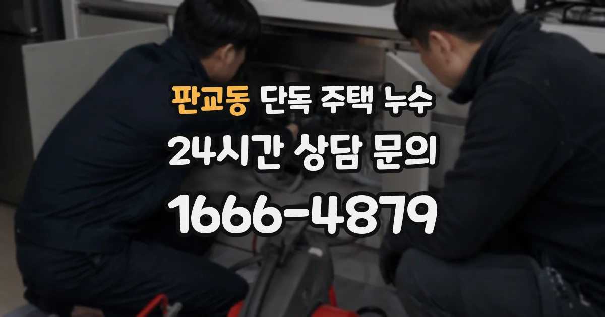 판교동 단독 주택 누수