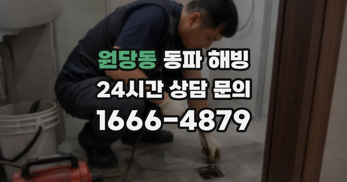 원당동 동파 해빙