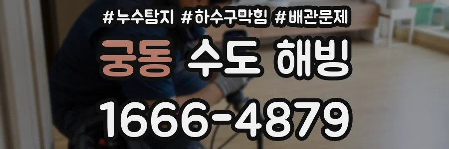 궁동 수도 해빙