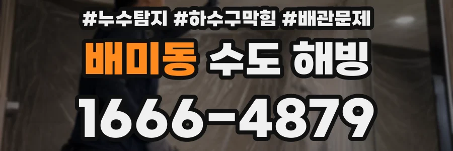 배미동 수도 해빙