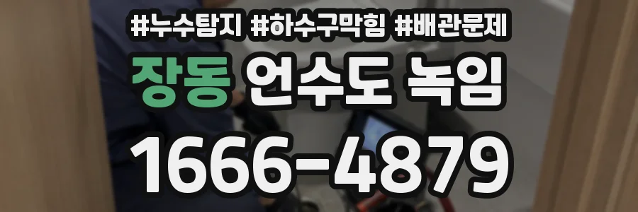 장동 언수도 녹임