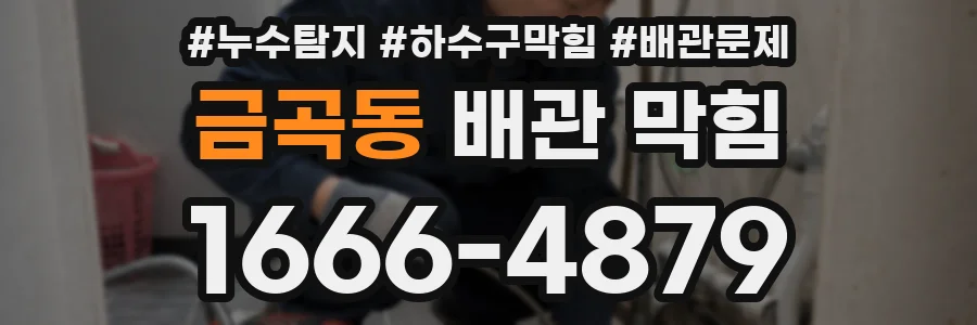 금곡동 배관 막힘
