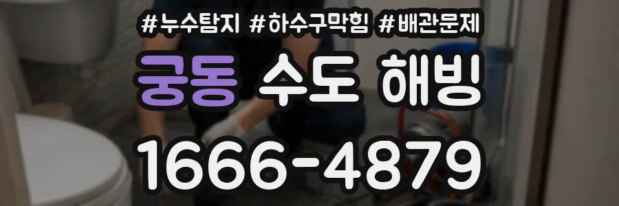 궁동 수도 해빙