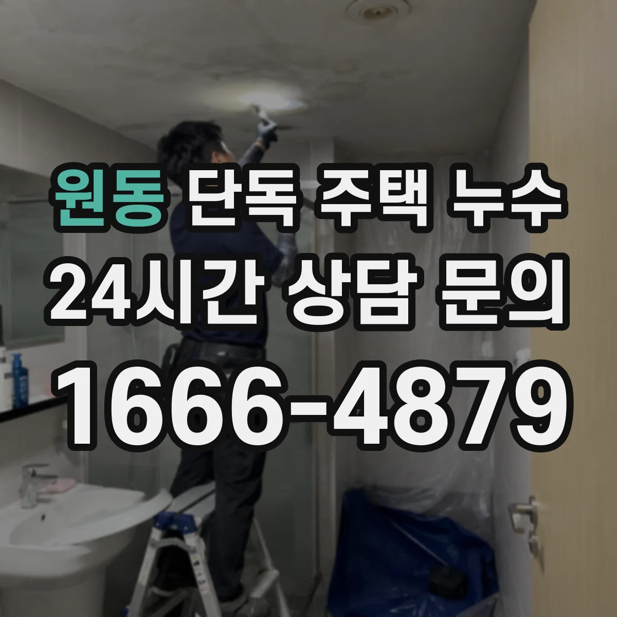 원동 단독 주택 누수