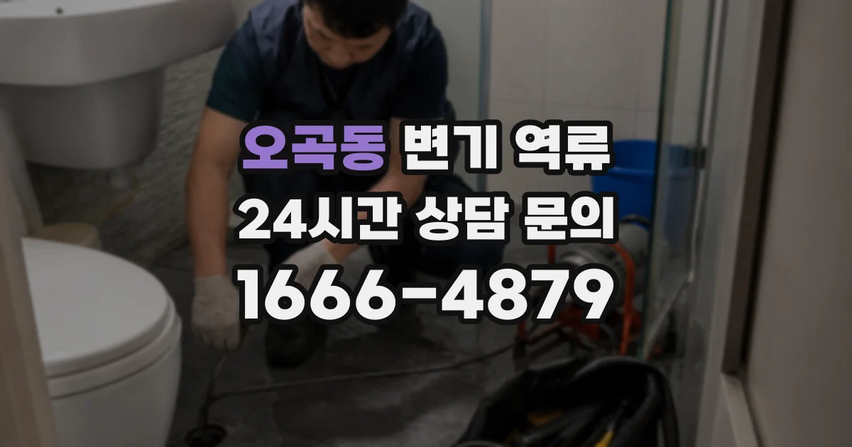 오곡동 변기 역류