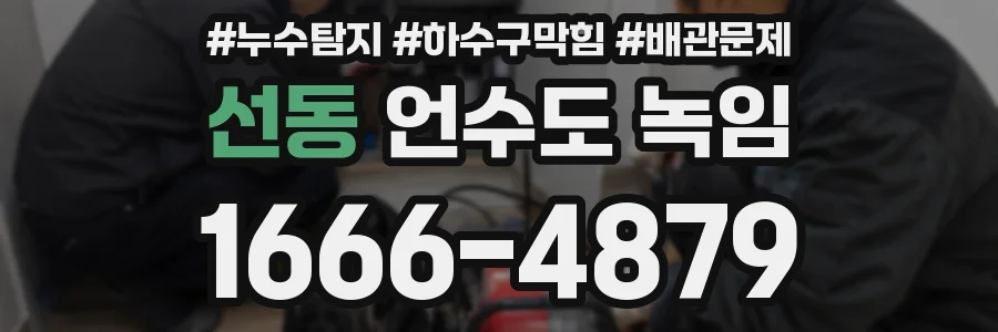 선동 언수도 녹임