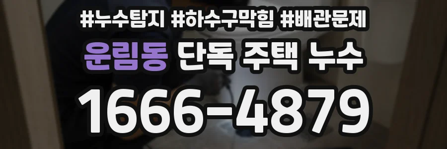 운림동 단독 주택 누수