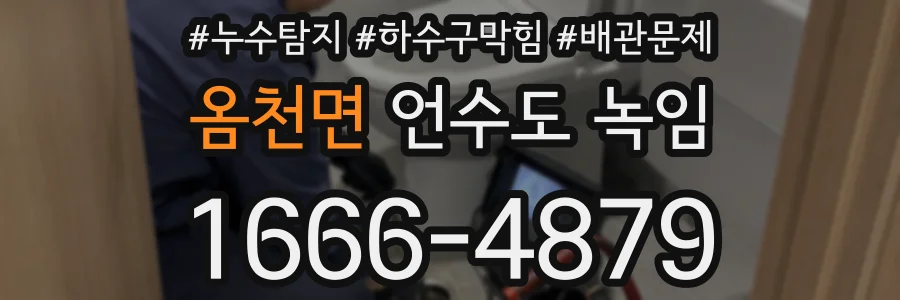 옴천면 언수도 녹임