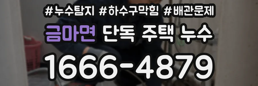 금마면 단독 주택 누수