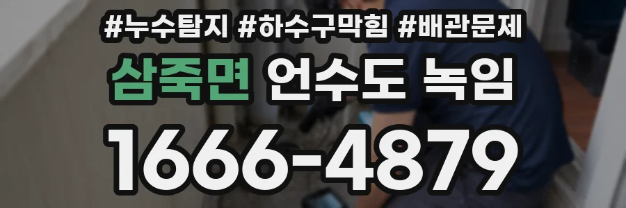 삼죽면 언수도 녹임