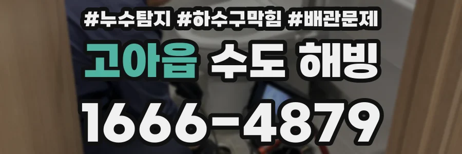 고아읍 수도 해빙