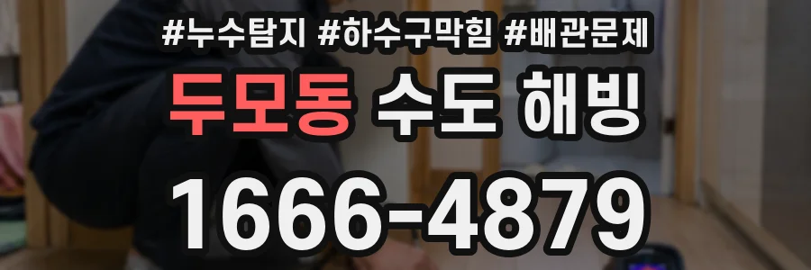 두모동 수도 해빙