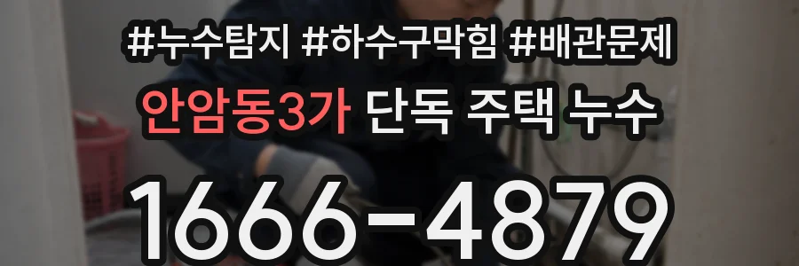안암동3가 단독 주택 누수